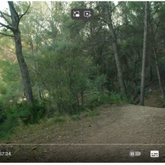 foto-video-2